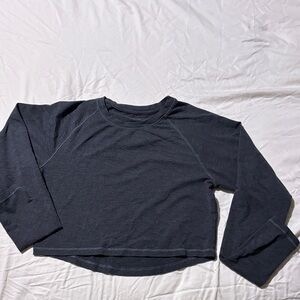 Alphalete Dark Gray Long Sleeve crop Top